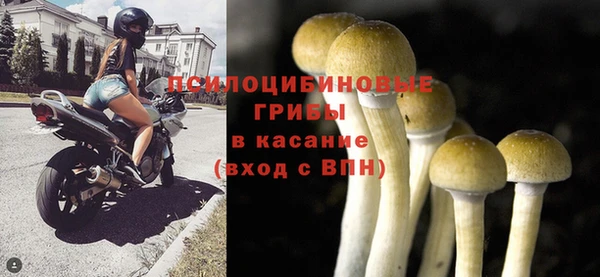 MESCALINE Инта