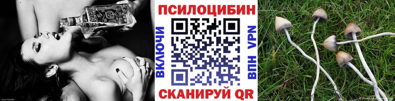 Купить закладки  Белёв  Галлюциногенные грибы Cubensis 